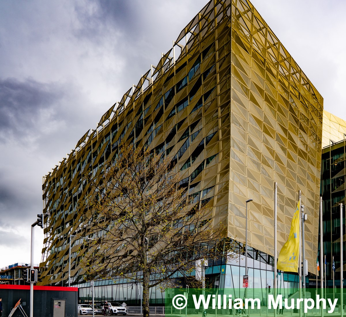 Central Bank of Ireland: Irish Economy Resumes Growth After Retraction